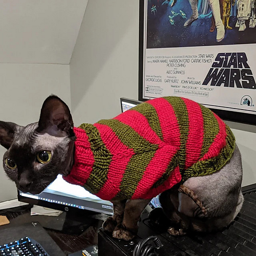 Freddy Krueger Kattegenser - Mariia Kirkpatrick