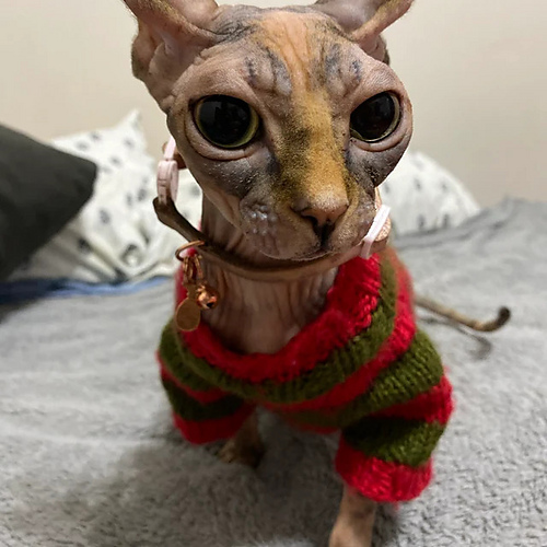 Freddy Krueger Kattegenser - Mariia Kirkpatrick