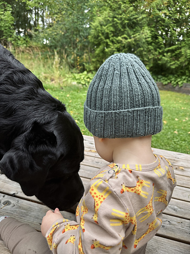 Acorn hat