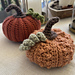 Pumpkin Patch Pair pattern