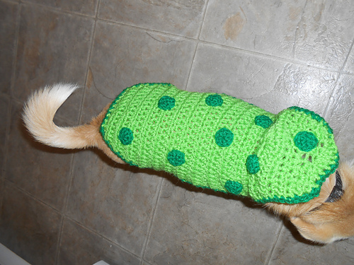 Pickle Costume for små hunder - Lightning Cat