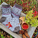 Rosetind sokk pattern