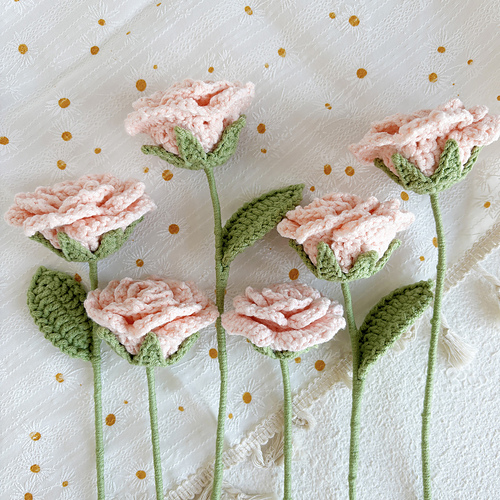 Cappuccino-rose - Lily's Lyric