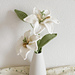 Madonna Lily pattern