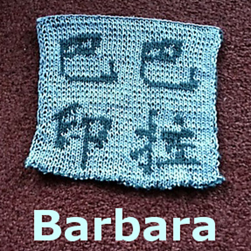 Your Chinese Name on a Potholder photo 4