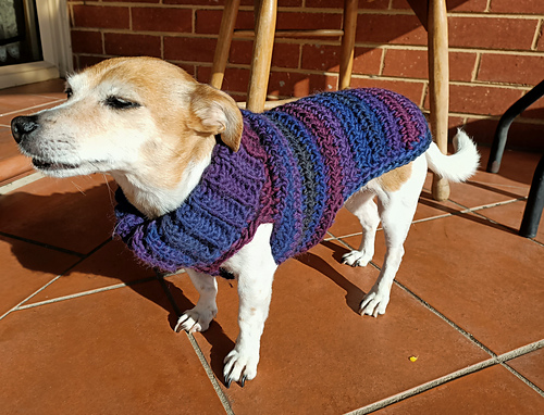 Bespoke Doggie Jumper photo 4