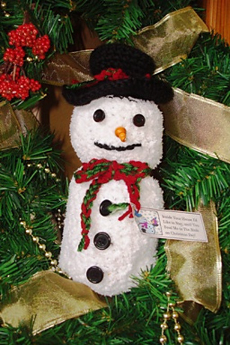 Bird Seed Snowman photo 1