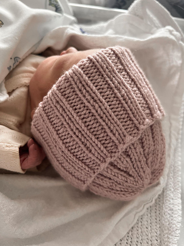 Barsellua - Stine Erichsen