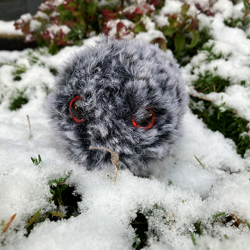 Lita Haggis - Little Miss Drop Stitch