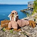 Wally the Walrus pattern 