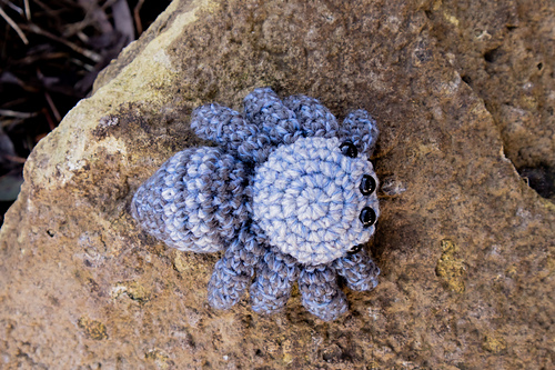 Ravelry: The Spider pattern by Sage Webster