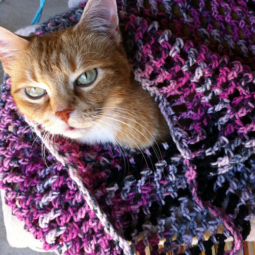 Lulu's Favorite Cowl