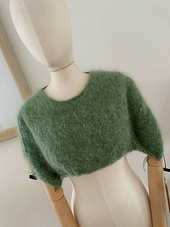 Modell 2 (S)