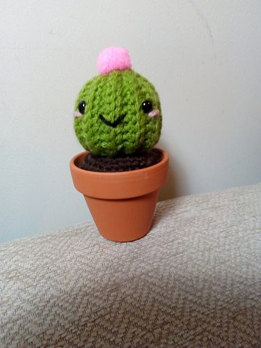 Chubby Cactus photo 4