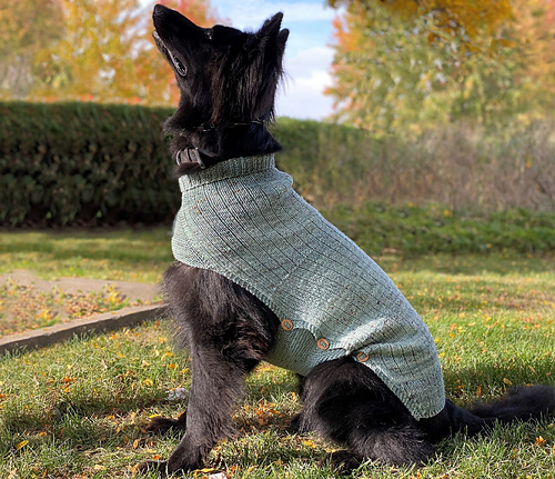 Whisky dog sweater photo 4