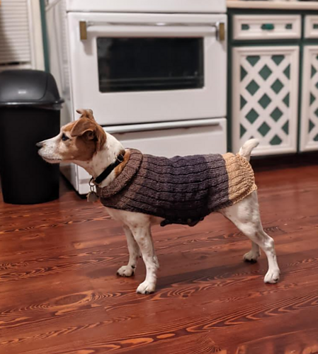 Hanzõ is wearing the vest knitted by Karen who kindly accepted to test knit this pattern :hearts: