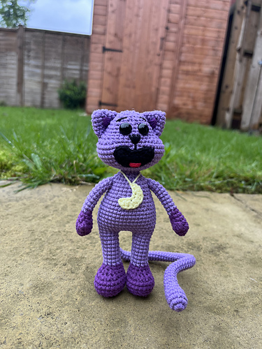 Mini Kattnapp? - Yuliia Rapata