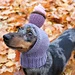 Cupcake Birthday Dog Hat pattern 