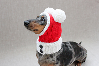 dog with santa hat