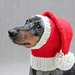 Santa Dog Hat pattern 