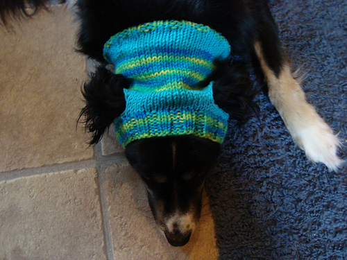 Dog Ear Hat photo 3