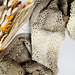 Shetland Lace Scarf pattern