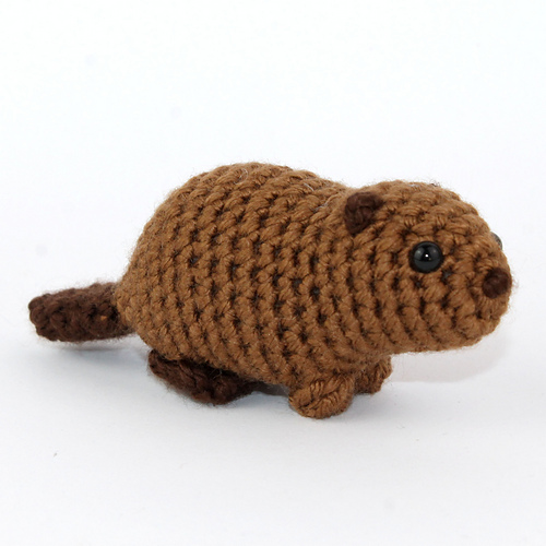 Baby bever - Kati Galusz