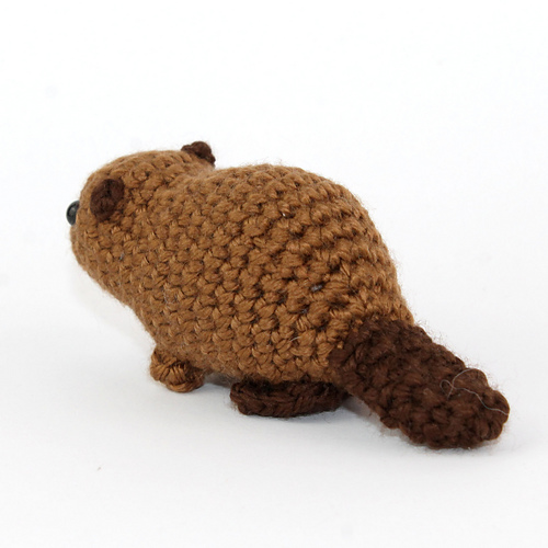 Baby bever - Kati Galusz