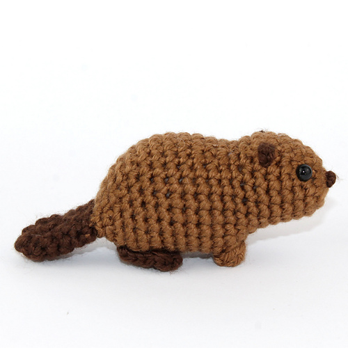 Baby bever - Kati Galusz