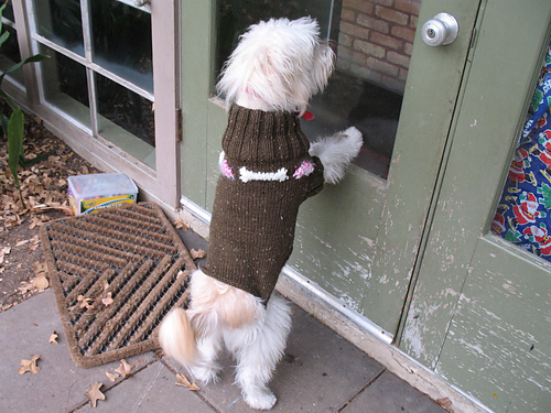 Hearts and Bones Dog Sweater photo 1