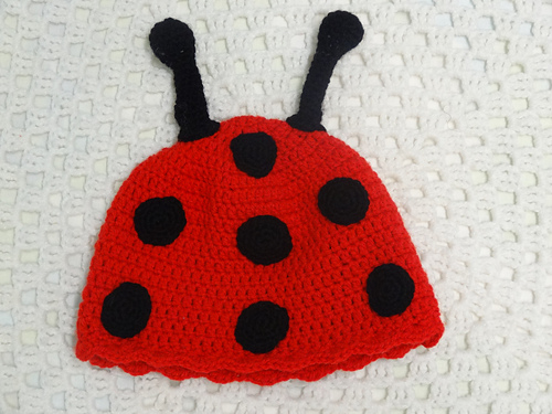 Lady Bug Beanie & Poncho photo 2