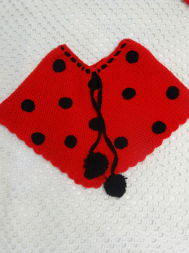 Lady Bug Beanie & Poncho photo 3