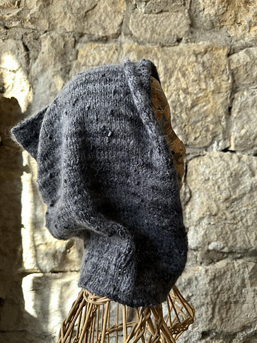 Hood_Knit_1_medium.jpg