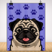 Pug C2C Crochet Blanket Pattern