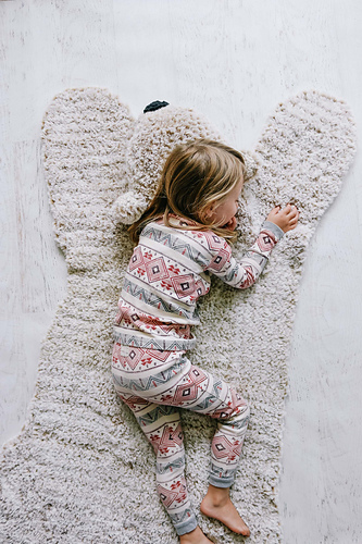 Hibernation Bear Blanket Rug photo 2
