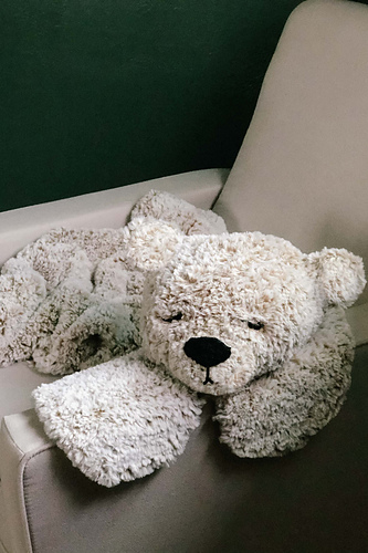 Hibernation Bear Blanket Rug photo 7