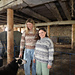 Koigu Sheep pattern 
