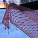 Winter Berries pattern 