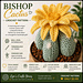 Bishop Cactus pattern 