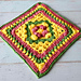 Minerva Granny Square photo 3