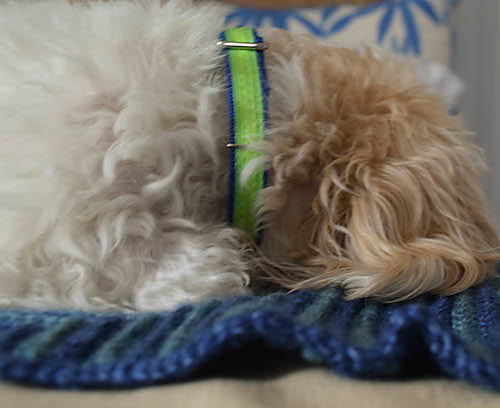 Mitered Square Pet Blanket photo 3