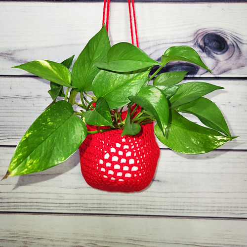 Diamond Plant Hanger