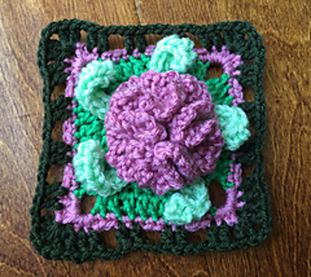 January Carnation