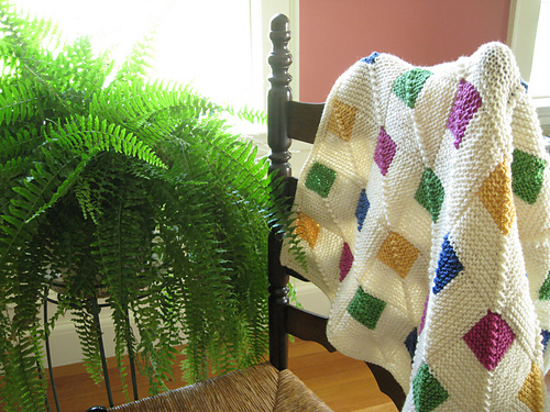 Prickly Paradise Quilted Blanket NCU0NT149