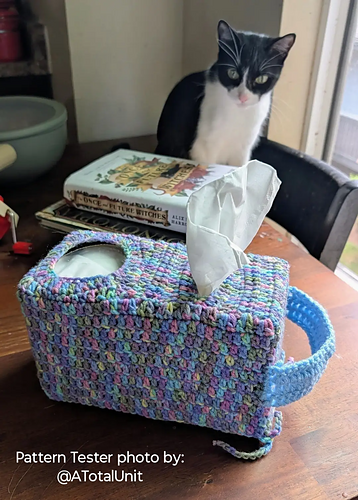 The Tissue Cozy