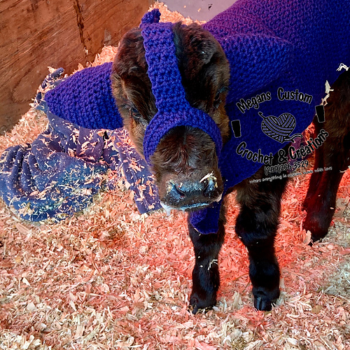 Kalfeøre Varmer til Øre - Megan's Custom Crochet