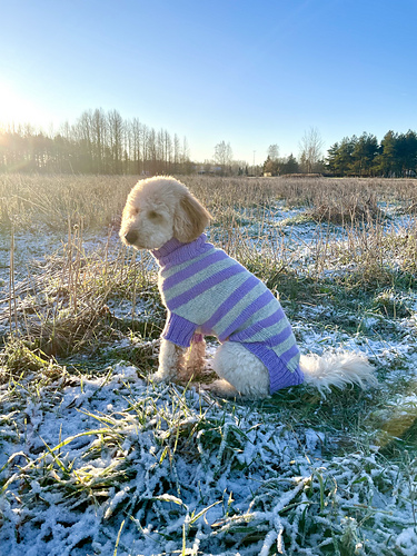 Striped Dog Sweater