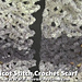 Picot Shell Stitch Scarf photo 3