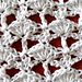 Lacy Shell Stitch photo 4