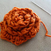 Rose photo 4